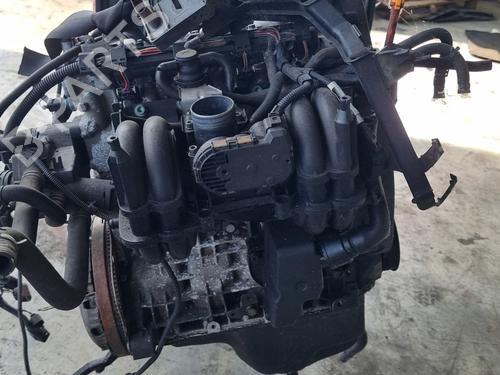 Motor VW POLO (6N2) 1.4 (60 hp) 31092664