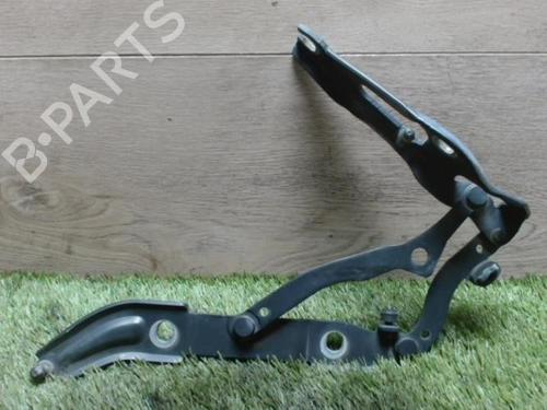 Hinge/Door check strap BMW 3 (E90) 330 xd | BP29140866C146 