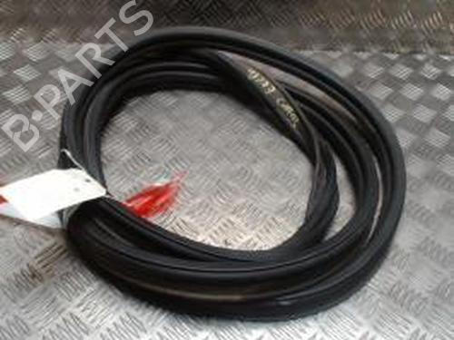 Gomma contorno porta RENAULT GRAND SCÉNIC III (JZ0/1_) 1.6 dCi (JZ00, JZ12) (130 hp) 30948842