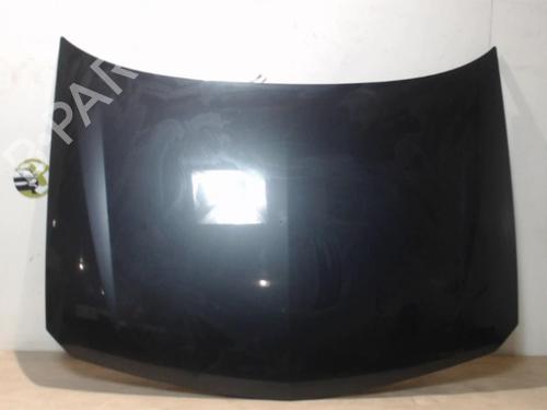 Used Hood RENAULT LAGUNA II (BG0/1_) 1.9 dCi (BG08, BG0G) (120 hp) 25392026