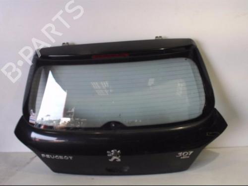 Bakluke CC/Kombi-Kupé PEUGEOT 307 (3A/C) 2.0 HDi 90 (90 hp) 25398498