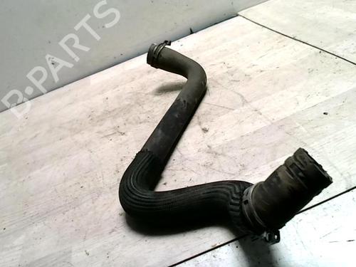 Air vent PEUGEOT 207 (WA_, WC_) 1.6 HDi | BP31221037I21