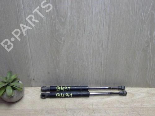 Tailgate lift support SEAT IBIZA III (6L1) 1.4 TDI | BP29503109C138 