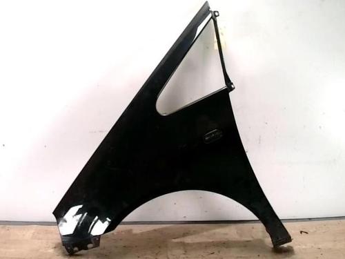 Left front fenders VW SHARAN (7M8, 7M9, 7M6) 2.0 TDI | BP25419325C41 