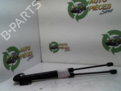 Tailgate lift support SUZUKI SWIFT III (MZ, EZ) 1.3 (RS413, ZC11S) | BP25400307C138 