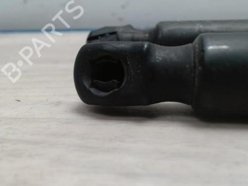 Tailgate lift support FORD S-MAX (WA6) 2.0 TDCi | BP25419706C138 