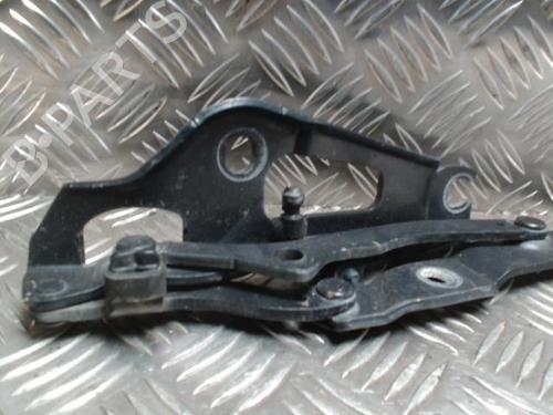 Hinge/Door check strap BMW 3 (E90) 320 si | BP31235413C146