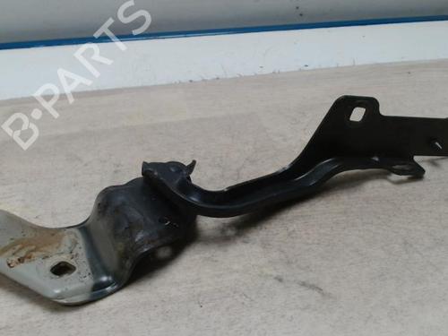 Used Hinge/Door check strap RENAULT CLIO III (BR0/1, CR0/1) 1.6 16V (BR05, BR0B, BR0Y, BR15, BR1J, BR1M, BR1Y, CR0B,... (112 hp) 25422274