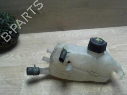Expansion tank RENAULT MEGANE III Hatchback (BZ0/1_, B3_) 1.5 dCi | BP29232485C120 