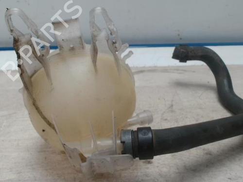 Expansion tank PEUGEOT 208 I (CA_, CC_) 1.6 HDi | BP25421131C120