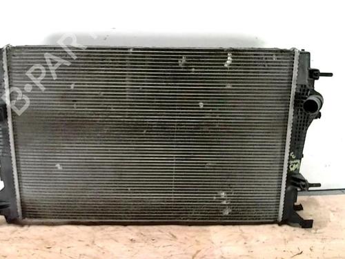 Køler RENAULT SCÉNIC III (JZ0/1_) 1.9 dCi (JZ0J, JZ1J, JZ1K, JZ1S) | BP25420604M31 