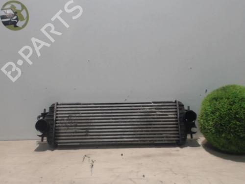 Intercooler RENAULT TRAFIC II Van (FL) 1.9 dCi 80 (FL0B) (82 hp) 25390943