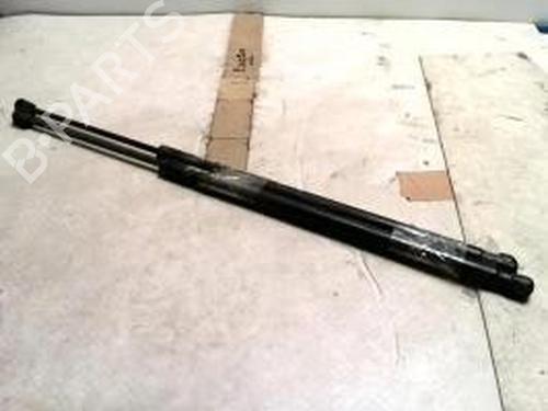 Used Tailgate lift support FORD FIESTA V (JH_, JD_) 1.4 TDCi (68 hp) 26710329