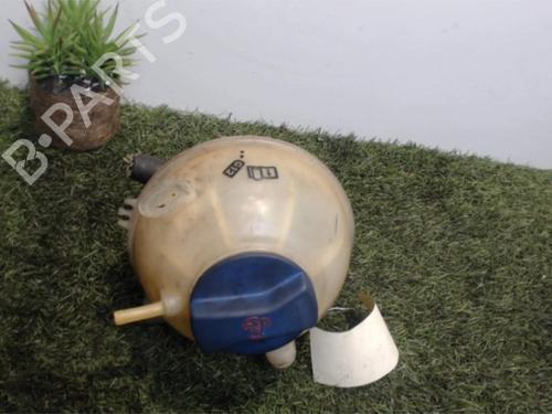 Expansion tank VW GOLF IV (1J1) 1.9 TDI | BP25392257C120 