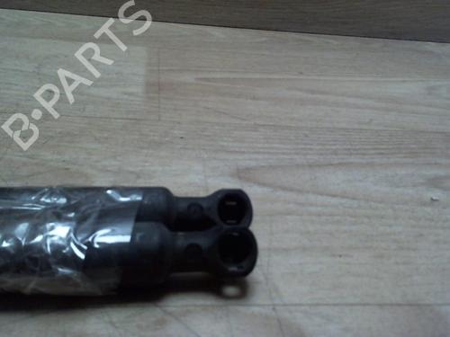 gasdmper-bagklap-citroen-c3-ii-sc_-2009-25401563 main image