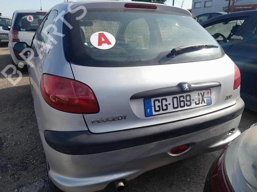 Dørrute ventre foran PEUGEOT 206 Hatchback (2A/C) 1.6 i | BP25422166C18 