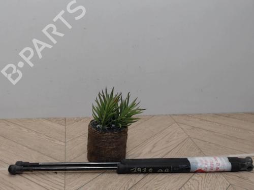 Used Tailgate lift support FIAT 500 (312_) 1.3 D Multijet (312AXB1A) (75 hp) 25388208