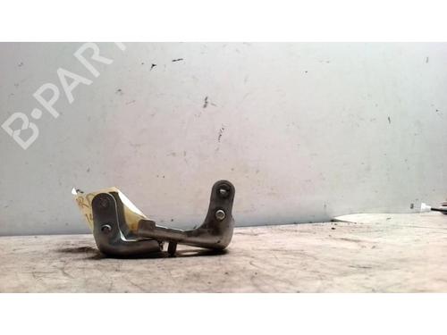 Hinge/Door check strap CITROËN C3 I (FC_, FN_) 1.4 16V | BP25423943C146 