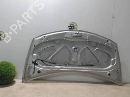 Hood RENAULT CLIO III (BR0/1, CR0/1) 1.2 16V (BR02, BR0J, BR11, CR02, CR0J, CR11) | BP25408471C1 