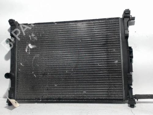 Used Water radiator RENAULT MEGANE II (BM0/1_, CM0/1_) 1.9 dCi (BM0G, CM0G) (120 hp) 25400256