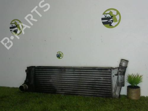 Intercooler RENAULT SCÉNIC II (JM0/1_) 1.9 dCi (JM0G, JM12, JM1G, JM2C) | BP25396900M30