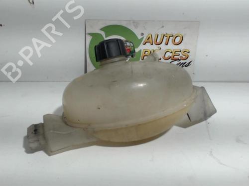 Expansion tank RENAULT MASTER III Van (FV) 2.3 dCi 125 FWD (FV0C, FV0D, FV0G, FV0H, FV0J, FV0K,... | BP25398603C120 