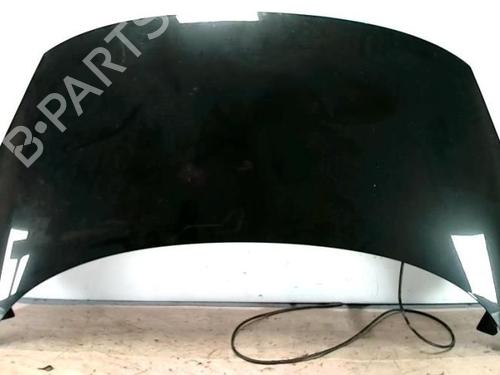 Hood RENAULT SCÉNIC III (JZ0/1_) 1.9 dCi (JZ0J, JZ1J, JZ1K, JZ1S) | BP25421178C1