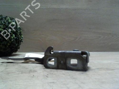 Hinge/Door check strap LANCIA MUSA (350_) 1.3 D Multijet (350.AXB11, 350.AXB1A) | BP25410097C146 