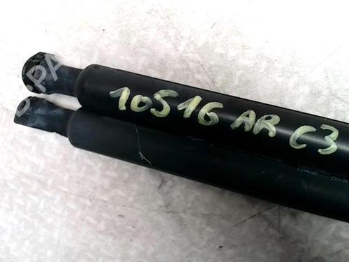 gasdmper-bagklap-citroen-c3-ii-sc_-2009-31223388 main image