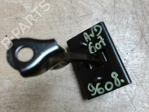 Hinge/Door check strap PEUGEOT 607 (9D, 9U) 2.0 HDi | BP28721919C146 