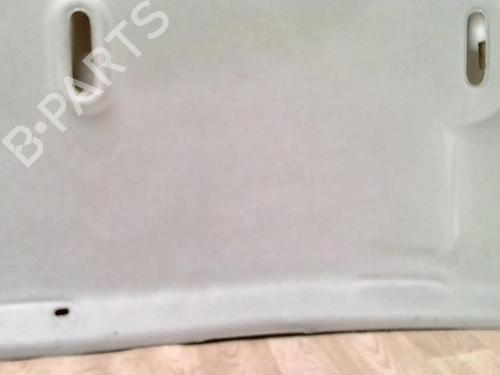 Interiør tag RENAULT MODUS / GRAND MODUS (F/JP0_) 1.5 dCi (FP0F, JP0F) | BP31230204I12