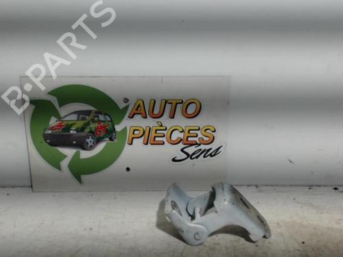 Used Hinge/Door check strap RENAULT CLIO IV (BH_) 1.5 dCi 75 (75 hp) 25398762