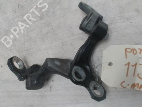Hinge/Door check strap FORD C-MAX (DM2) 1.8 TDCi | BP27887529C146 