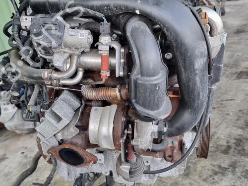 Engine RENAULT MEGANE III Hatchback (BZ0/1_, B3_) 1.5 dCi (BZ1G, BZ1W, BZ0R) | BP31092665M1 