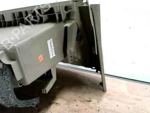 Glove box RENAULT SCÉNIC III (JZ0/1_) 1.9 dCi (JZ0J, JZ1J, JZ1K, JZ1S) | BP25420404C95 