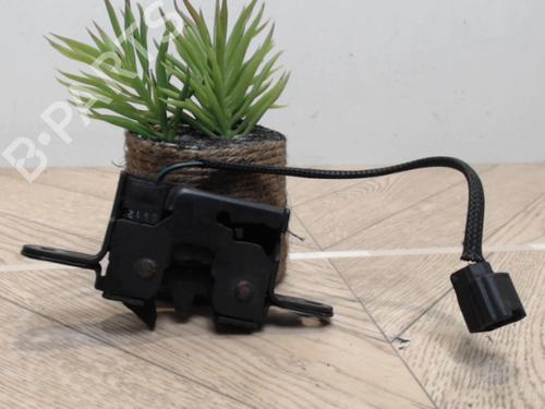 Hood lock RENAULT SCÉNIC III (JZ0/1_) 1.6 dCi (JZ00, JZ12) | BP25388003C133