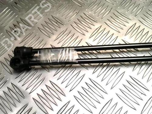 Hood lift support RENAULT MEGANE IV Grandtour (K9A/M/N_) 1.5 Blue dCi 115 (K9A6) | BP25841238C139