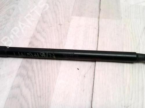 Used Tailgate lift support NISSAN QASHQAI I (J10, NJ10) 1.5 dCi (106 hp) 27487160