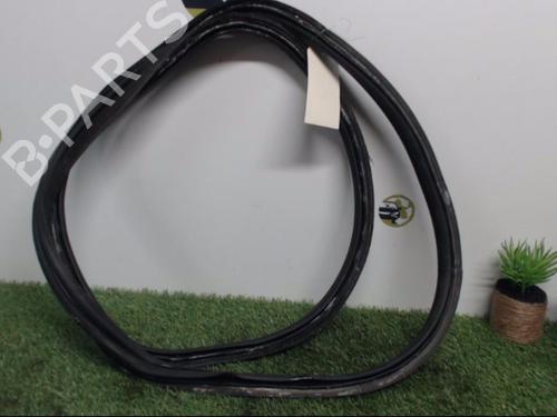 Used Rubber door seal FIAT GRANDE PUNTO (199_) 1.9 D Multijet (130 hp) 25397314