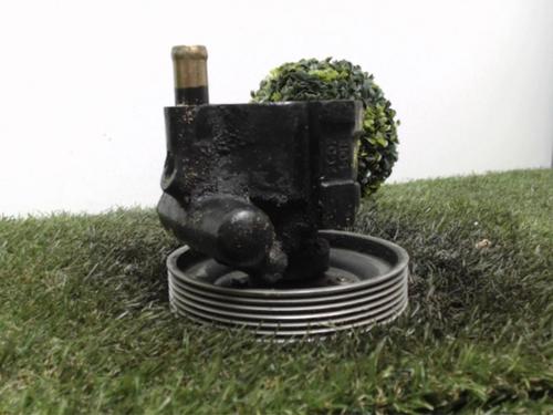 Steering pump RENAULT LAGUNA I (B56_, 556_) 1.6 16V (B568, B561) | BP25394924M99 