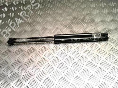 Hood lift support RENAULT MEGANE IV Grandtour (K9A/M/N_) 1.5 Blue dCi 115 (K9A6) | BP25841238C139