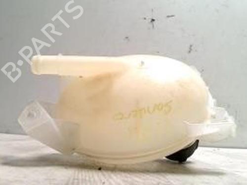 Used Expansion tank DACIA SANDERO II 1.5 dCi 75 / Blue dCi 75 (B8JW, B8M4, B8AH, B8M7, B8M6) (75 hp) 25425832