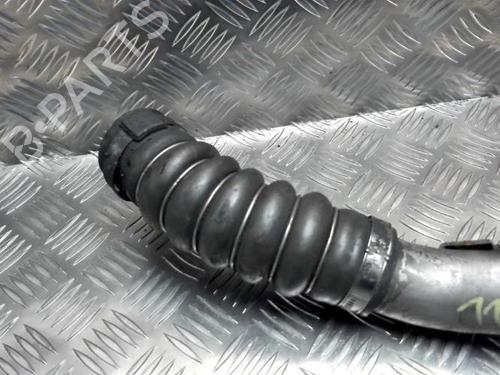 Pipe RENAULT CLIO III (BR0/1, CR0/1) 1.5 dCi (BR17, CR17) | BP25429334M125 