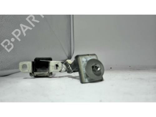 Hinge/Door check strap RENAULT CLIO IV (BH_) 1.5 dCi 90 | BP25430847C146 