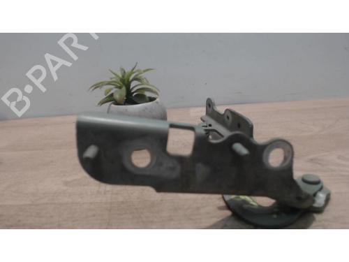 Hinge/Door check strap CITROËN C2 (JM_) 1.4 | BP25412632C146 