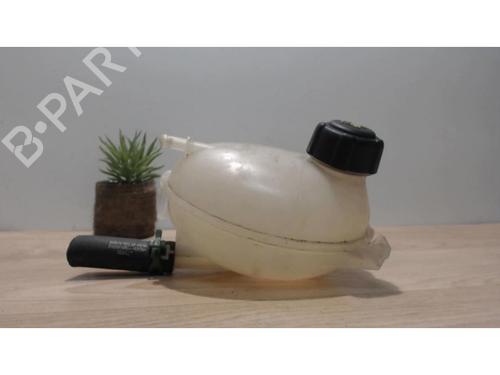 Expansion tank RENAULT CLIO IV (BH_) 1.5 dCi 90 | BP25411916C120 