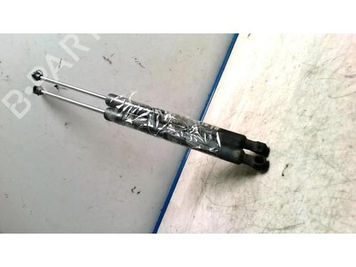 Tailgate lift support RENAULT CLIO III (BR0/1, CR0/1) 1.2 16V (BR02, BR0J, BR11, CR02, CR0J, CR11) | BP25424298C138 