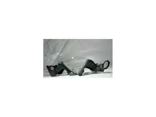 Used Hinge/Door check strap RENAULT CLIO IV (BH_) 1.5 dCi 90 (90 hp) 25430846