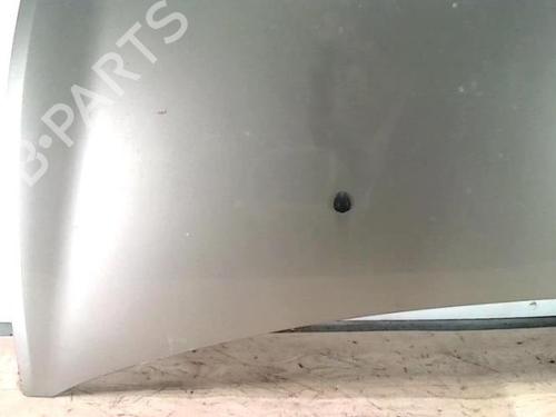 Hood RENAULT CLIO III (BR0/1, CR0/1) 1.5 dCi (C/BR0G, C/BR1G) | BP25419146C1 