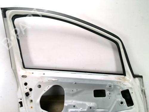 Left front door FIAT PUNTO EVO (199_) 1.2 | BP31236199C2